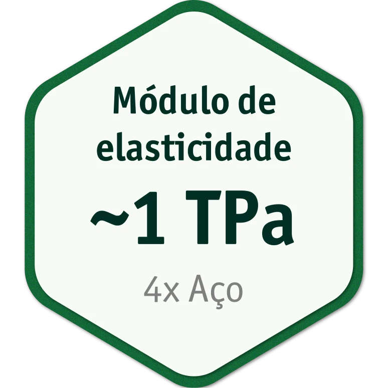 propriedades_texto_2_02_1_2x